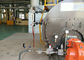 20t / H Fire Tube Pharmaceutical Gas Fired Steam Boiler